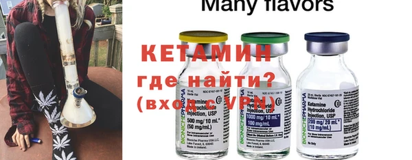 индика Каменногорск