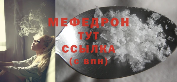 индика Каменногорск