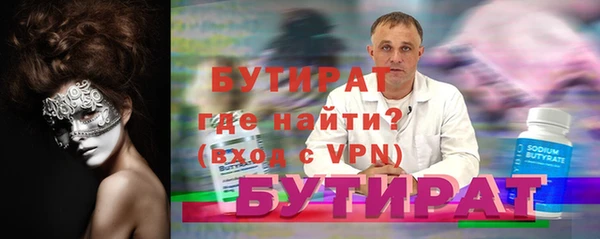 индика Каменногорск