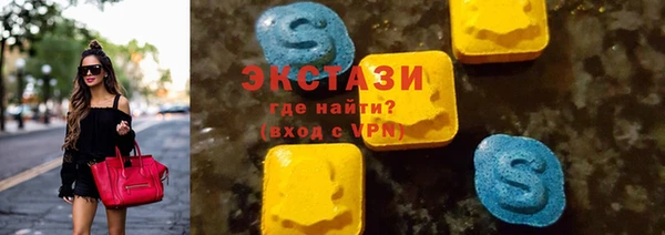 индика Каменногорск