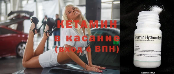 индика Каменногорск