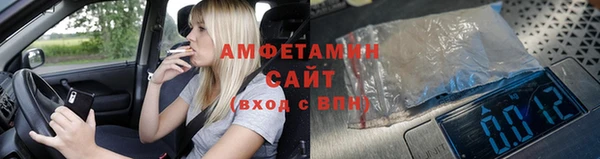 индика Каменногорск