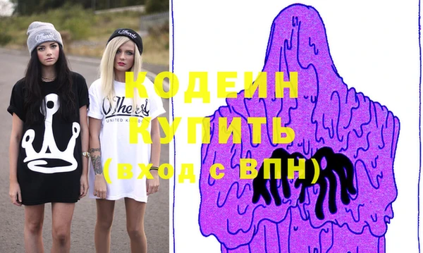 индика Каменногорск