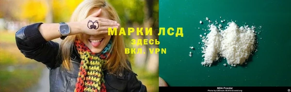 индика Каменногорск