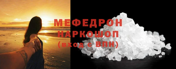 индика Каменногорск
