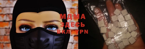 индика Каменногорск