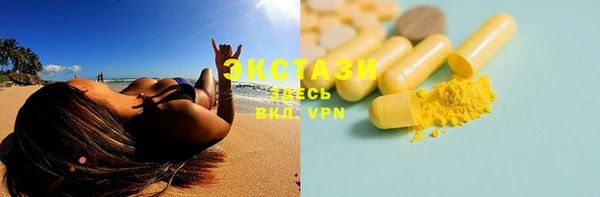 индика Каменногорск