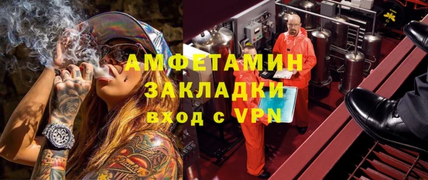 индика Каменногорск