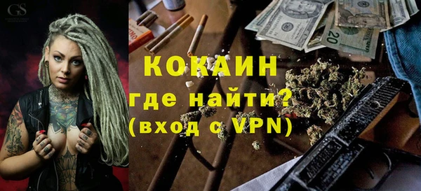 индика Каменногорск