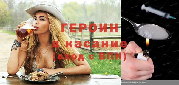 индика Каменногорск