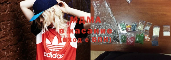 индика Каменногорск