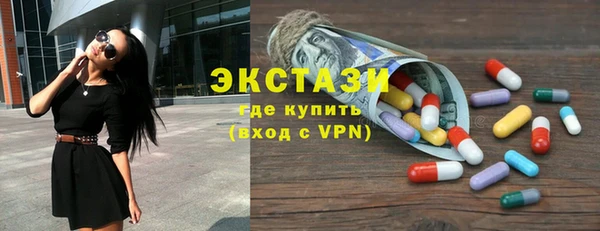 индика Каменногорск